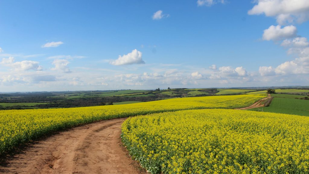 testominials bg 1024x576.jpg